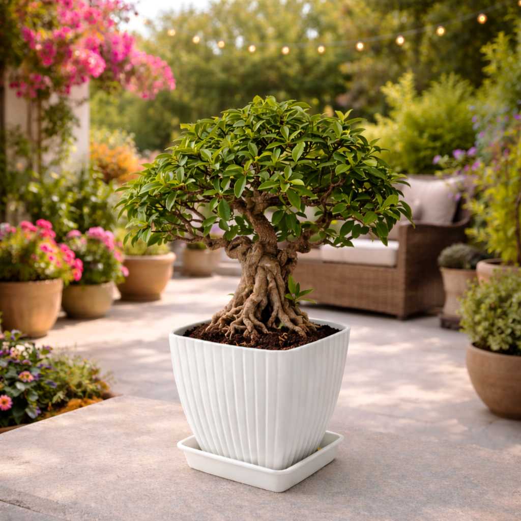 Grosyhub Modern Ribbed Square Planter Pots with Drainage Tray (5 Pcs Set)